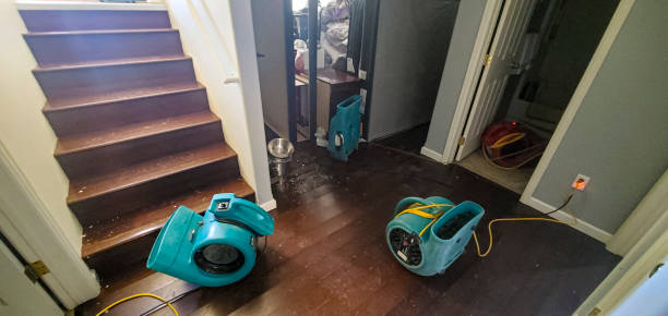 Best Fire Damage Restoration  in Neffs, OH