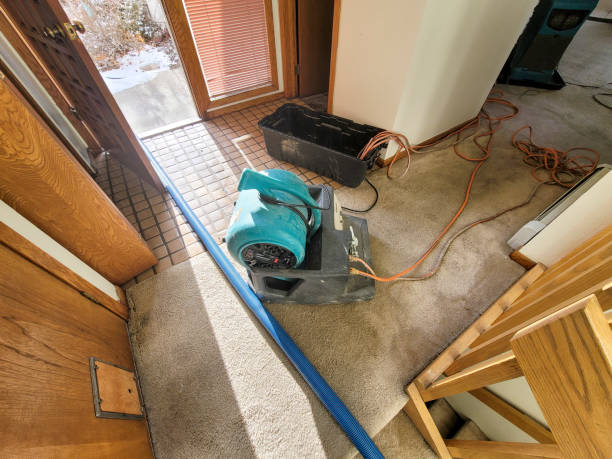 Best Water damage restoration near me  in Neffs, OH