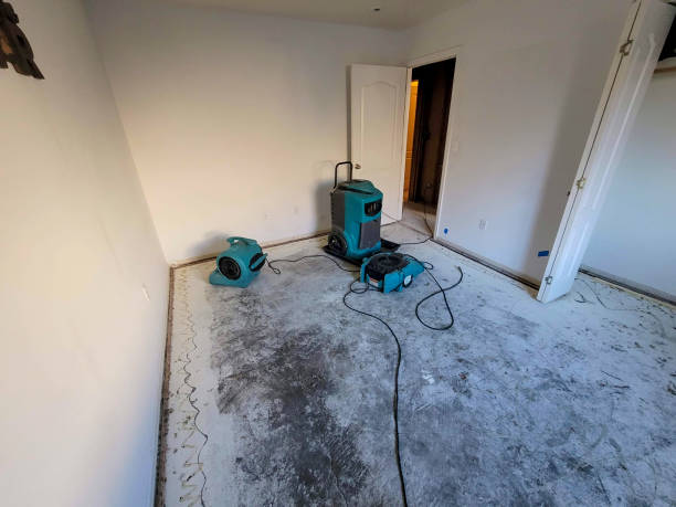 Best Professional water damage repair  in Neffs, OH