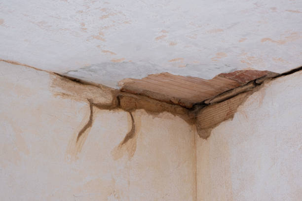 Best Carpet water damage restoration  in Neffs, OH