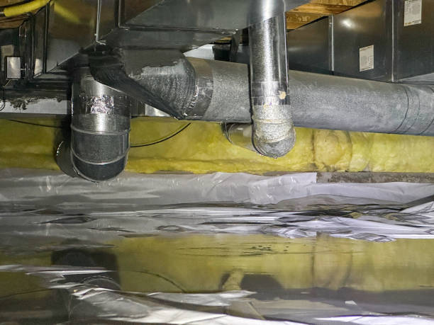 Best Water damage contractors near me  in Neffs, OH