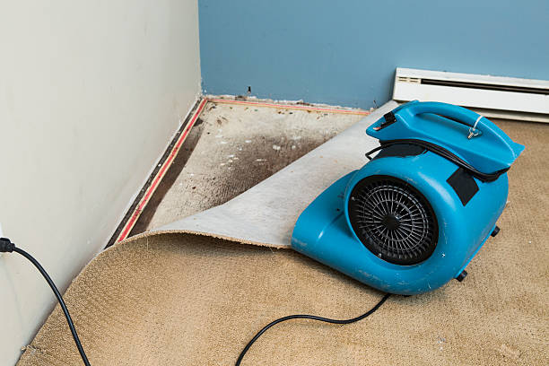 Best Carpet water damage restoration  in Neffs, OH